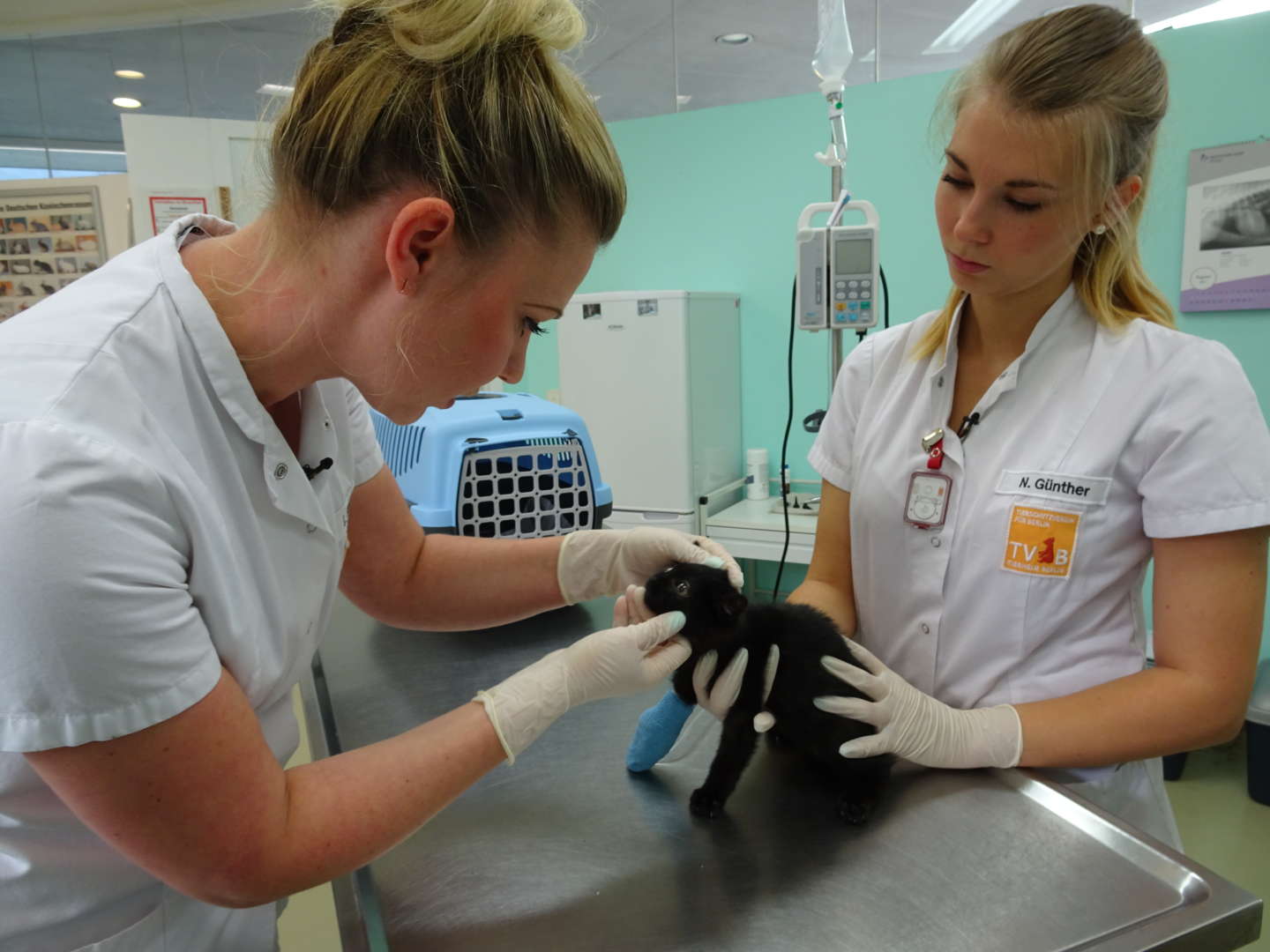 Ausbildung Zur Tierpflegerin Im Tierheim tierschutz-berlin.de