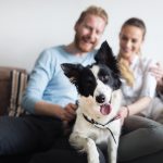 Paar mit Hund auf einem Sofa (Foto: Shutterstock)