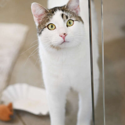 Marti & Frechdachs — Ekh