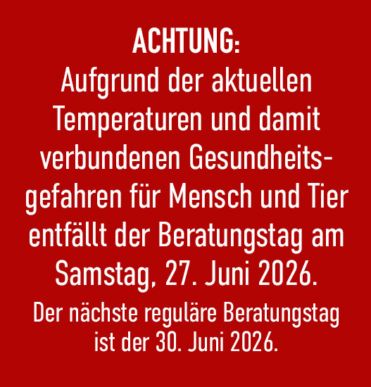 Website-Störer-Bild